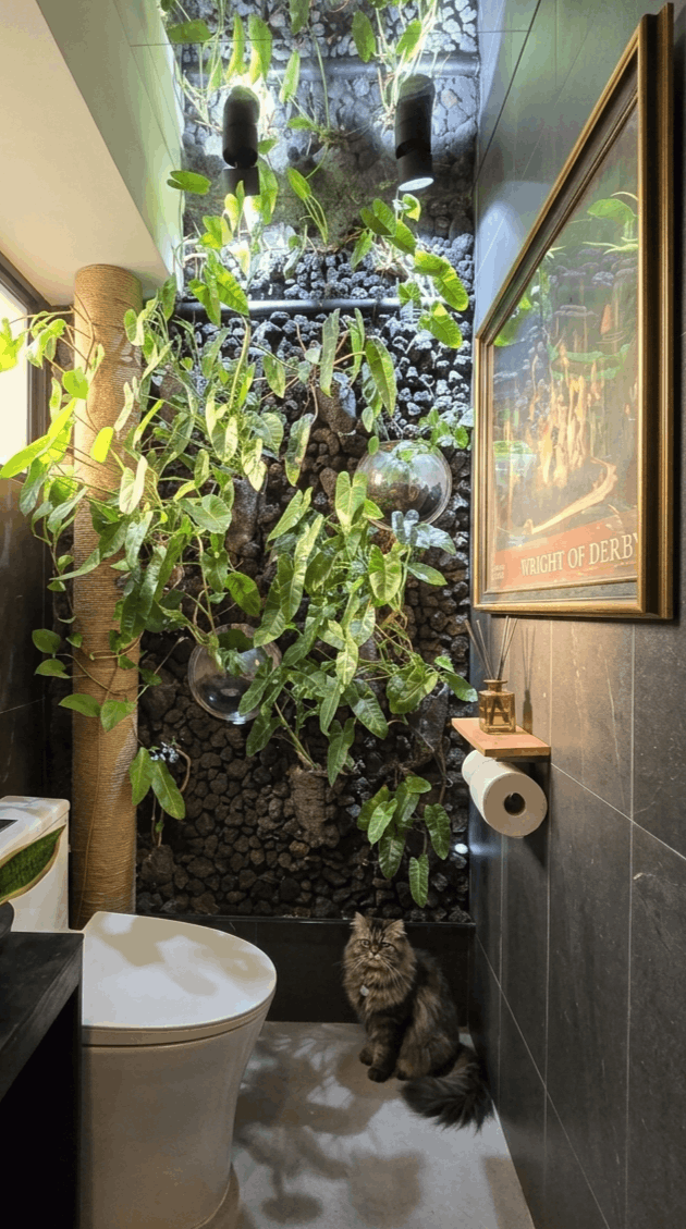 toilet wall (1)